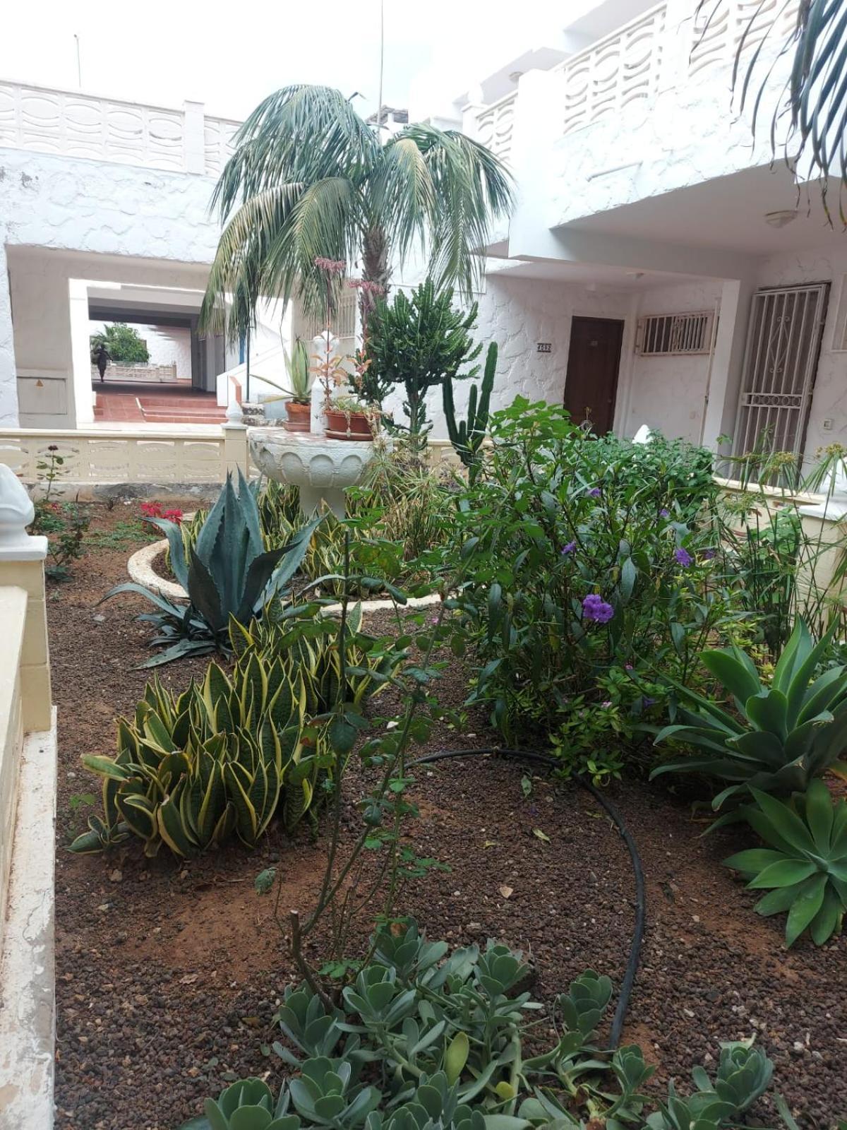 Casa Papagayo Appartement Arona  Buitenkant foto