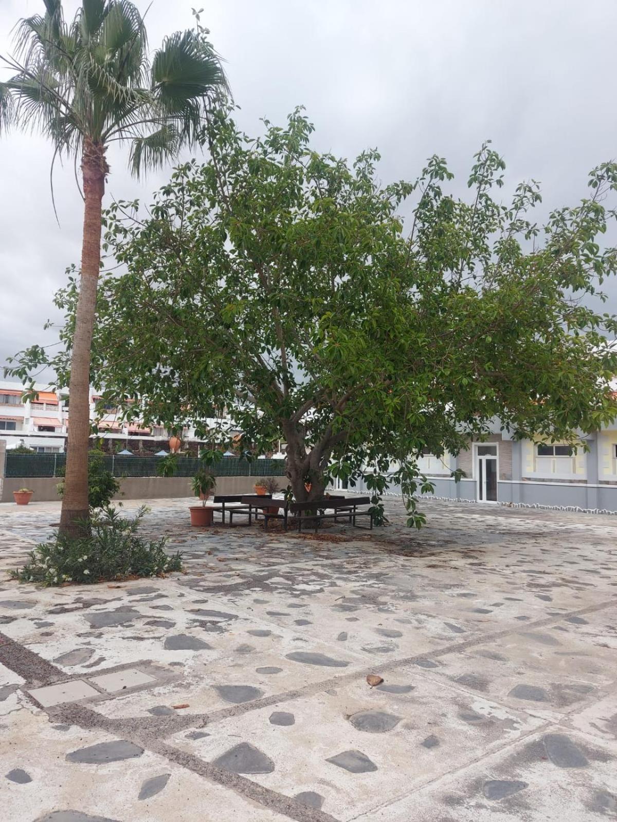 Casa Papagayo Appartement Arona  Buitenkant foto